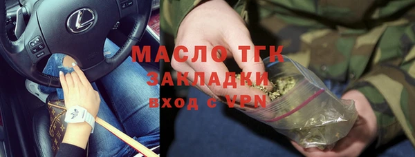 шишки Лагань