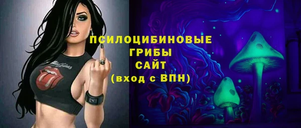 apvp Ладушкин
