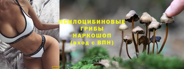 apvp Ладушкин