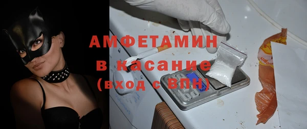 шишки Лагань