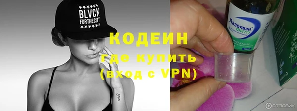 шишки Лагань