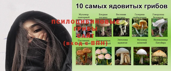apvp Ладушкин