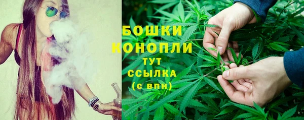 шишки Лагань